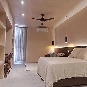 mid-498-apartment-merida.hotelsmerida.org/